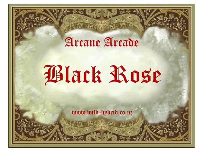 Black Rose - Wild Hybrid by Wild Hybrid
