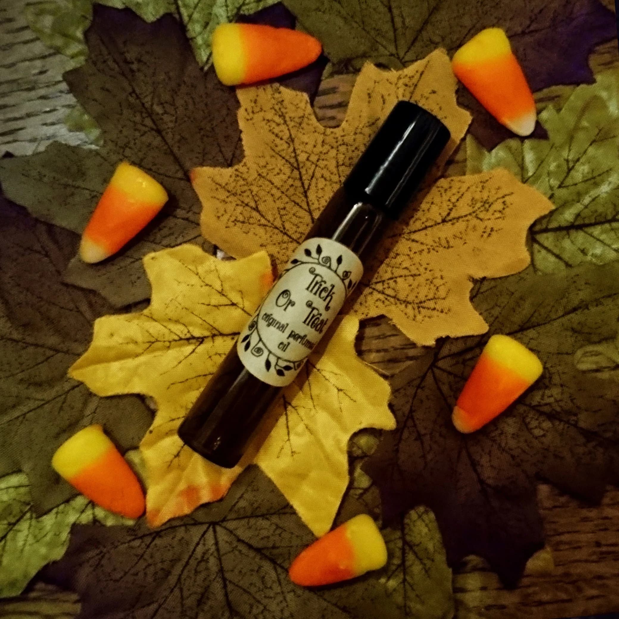 Trick Or Treat - Simons Nest by Simons Nest