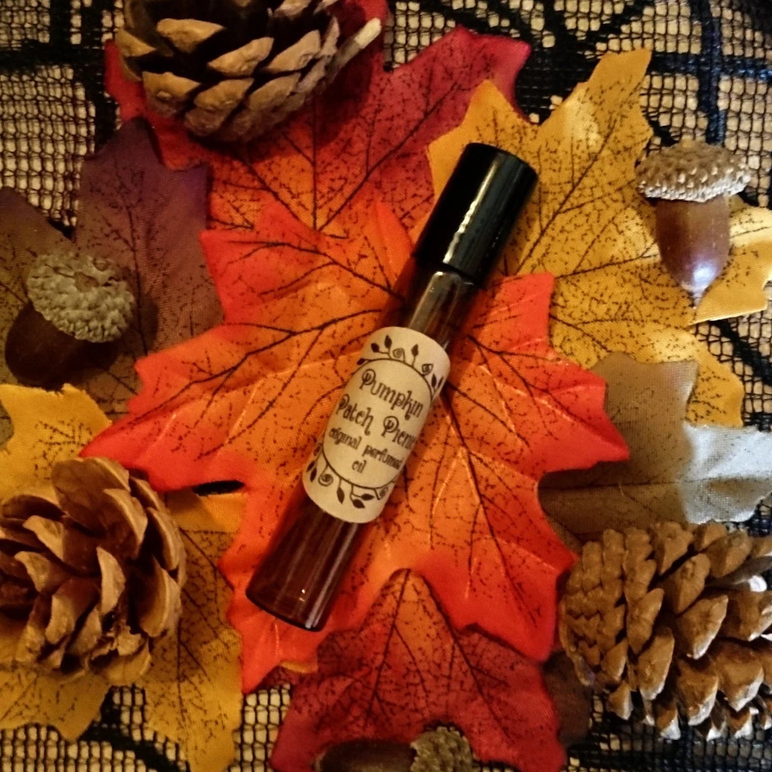 Pumpkin Patch Picnic by Simons Nest