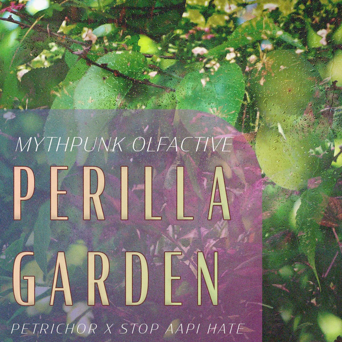 Perilla Garden Perfume Bottle