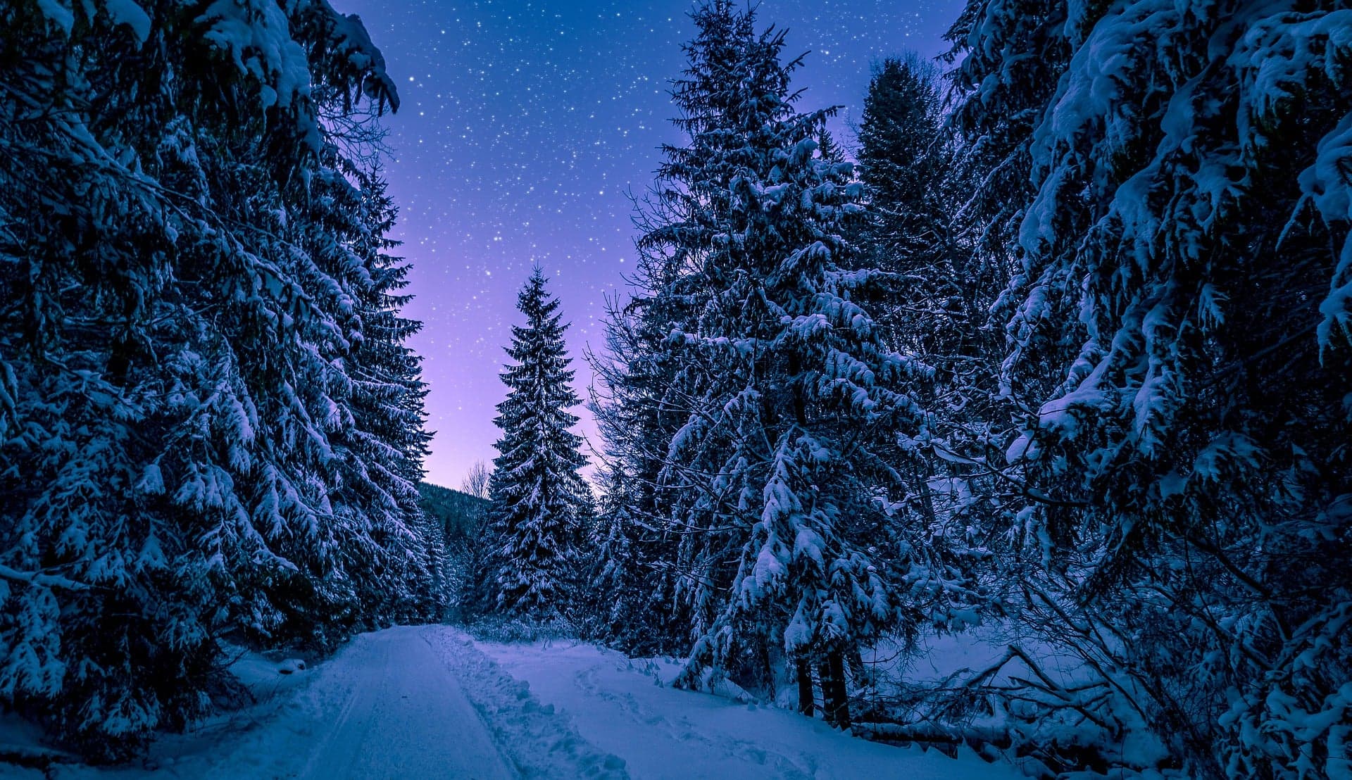 Frost In Starlight Perfume Bottle