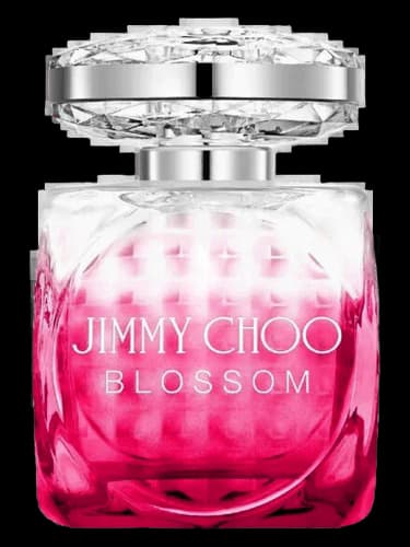 Jimmy Choo Blossom Perfume Bottle