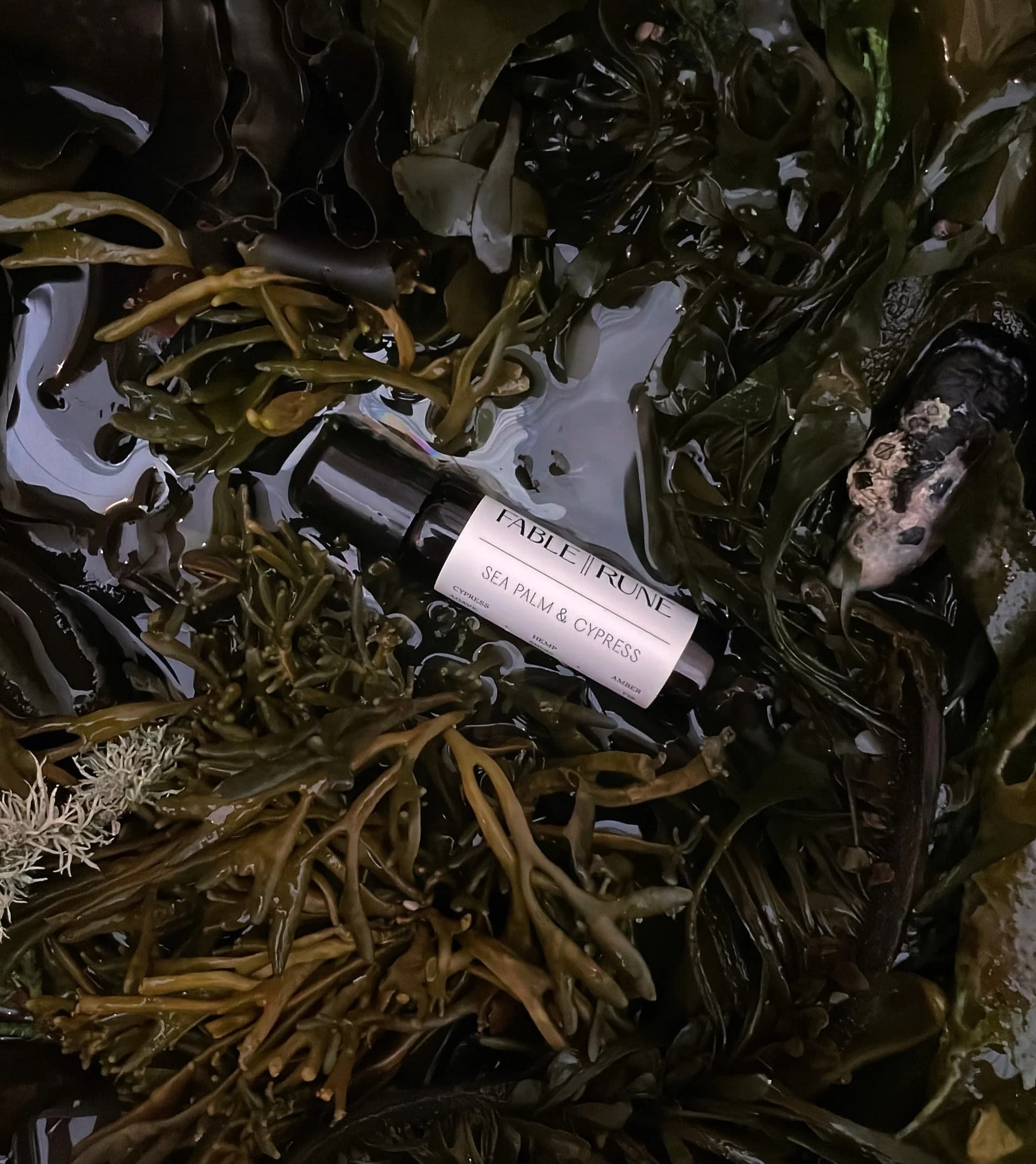 Sea Palm & Cypress Perfume Bottle