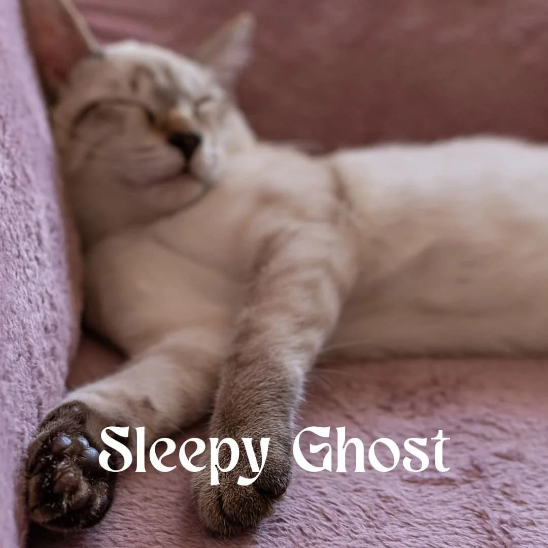 Sleepy Ghost Perfume Bottle